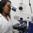 Female scientist looks into microscope