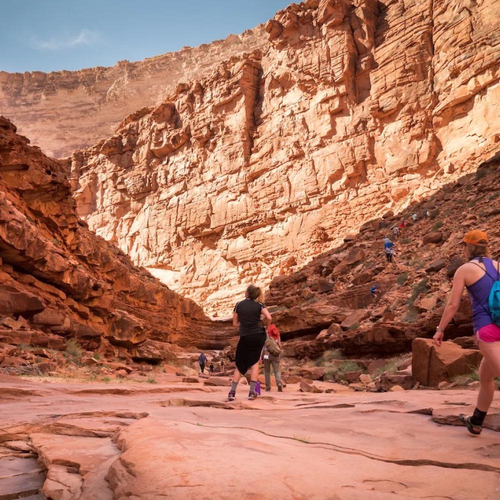 Students hike the ravine inside the Grand Canyon