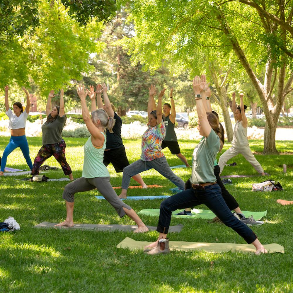 A group of people practicing yoga on a lawn