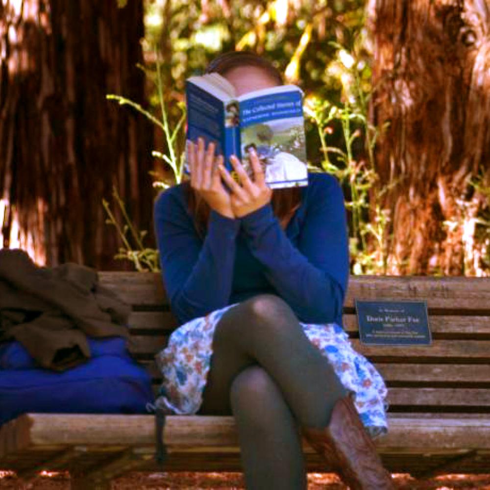Student reading on bench
