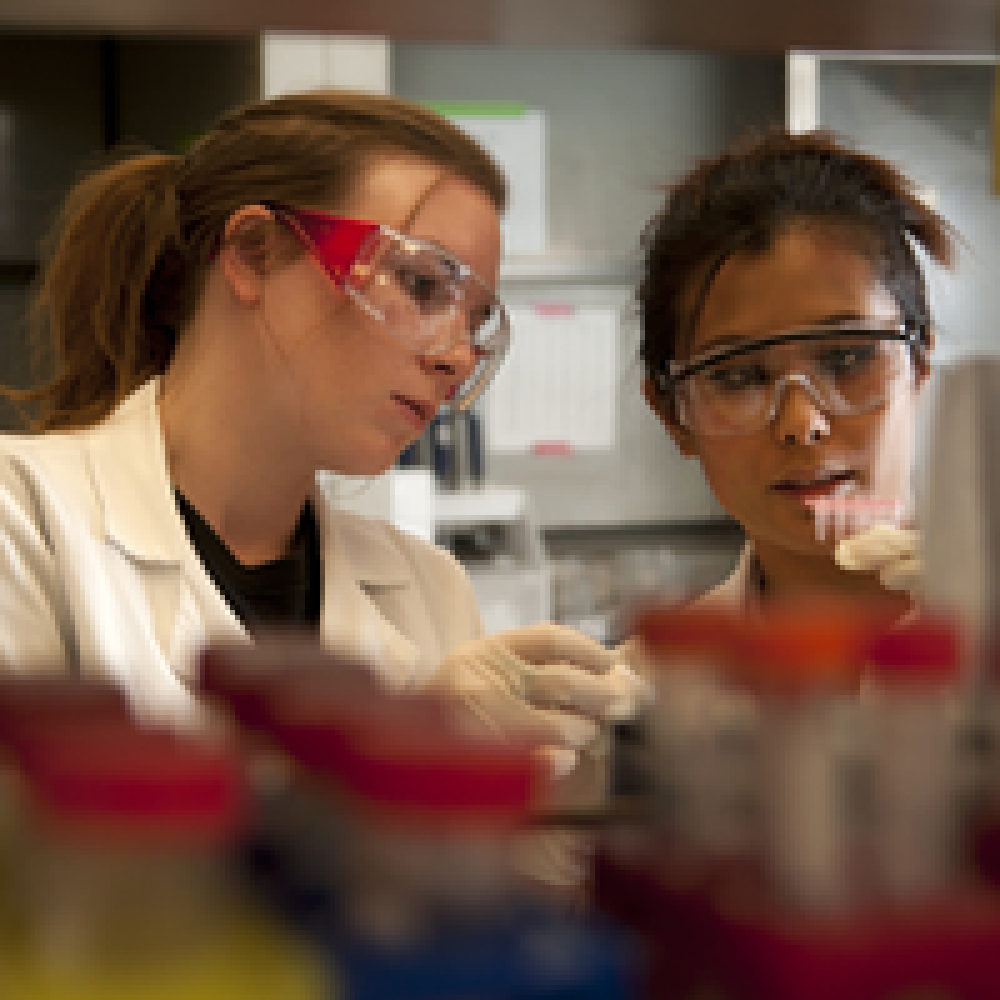 anthropologists in lab