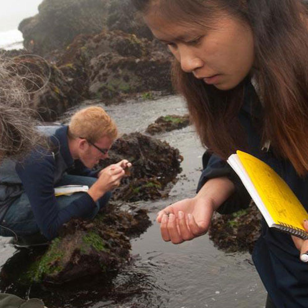 Marine and Coastal Science on-site learning
