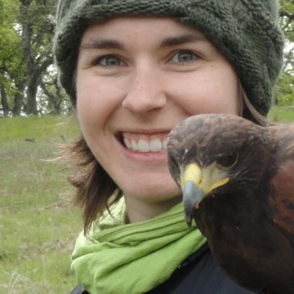 Medieval and Early Modern Studies student with falcon