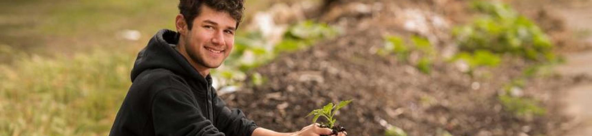 Physics major Mario D'Andrea researched waste reduction and carbon sequestration through compost, like this pile at the UC Davis Student Farm, for a course in physics. (Gregory Urquiaga/UC Davis)