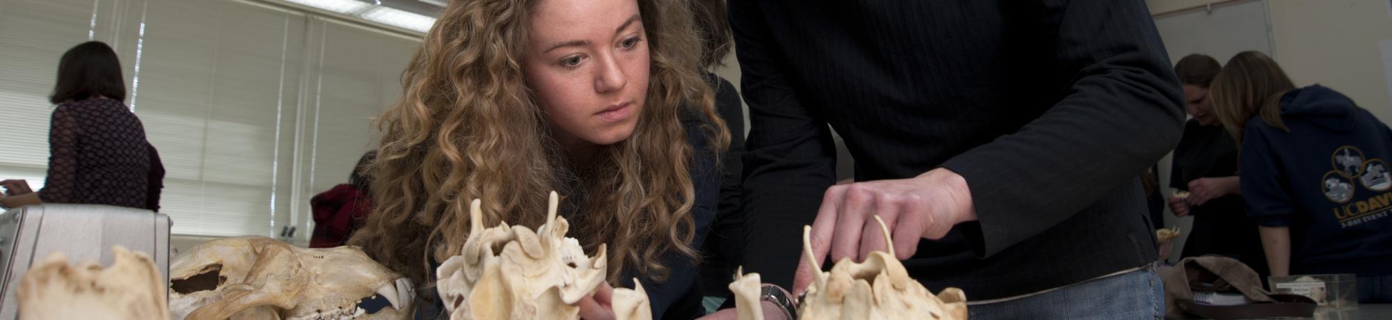 Anthropology at UC Davis