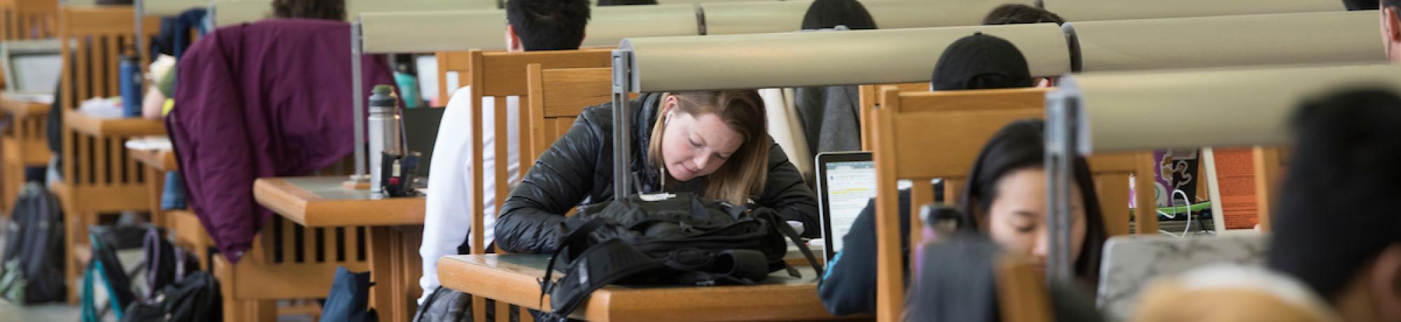 student studying in shields library